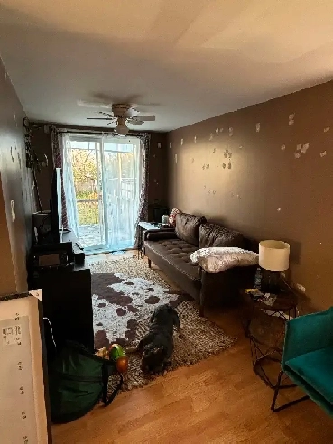 Renting second bedroom image