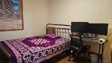 Private room for rent near Surrey Central image