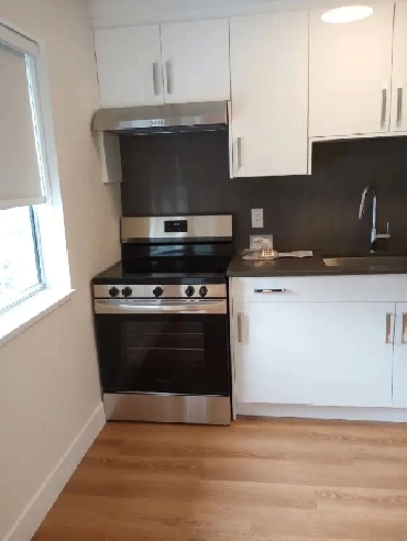 New Fully Renovated 1 Bdrm aptmt for rent  Rent is 1450mth image
