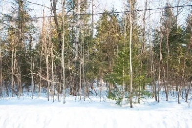 Vacant Land for Sale in Tiny ON image