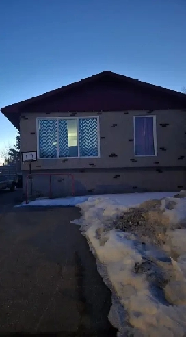 3 bedroom East Flat home image