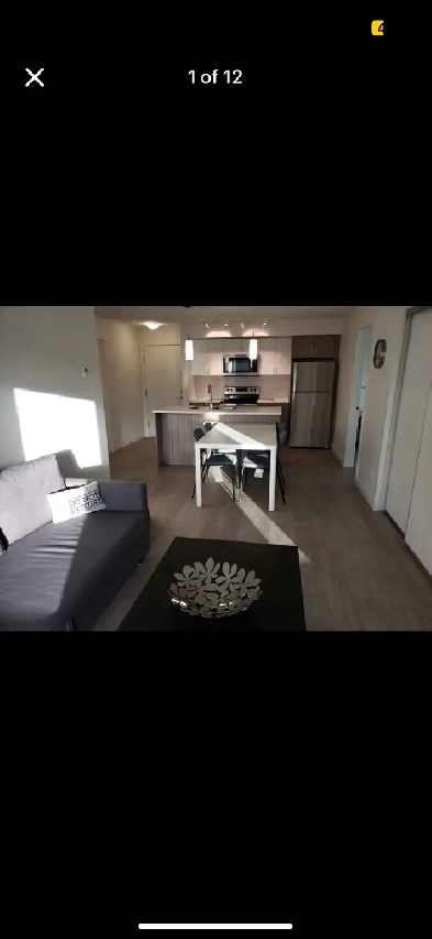1 bed 1 bath summer rental image