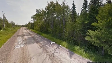 Beautiful Residential Estate Property in Northern Bruce image