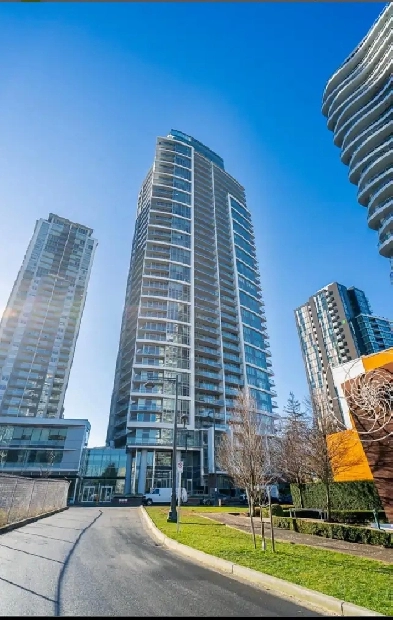 154800 1 Bedroom 1 Bath fully furnished luxurious Apt Rent image