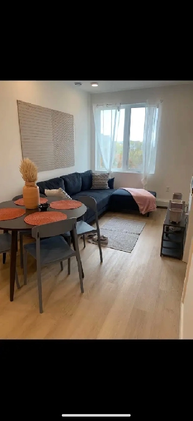 Summer Sublet image