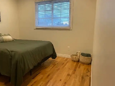 furnished room for rentNorth end image
