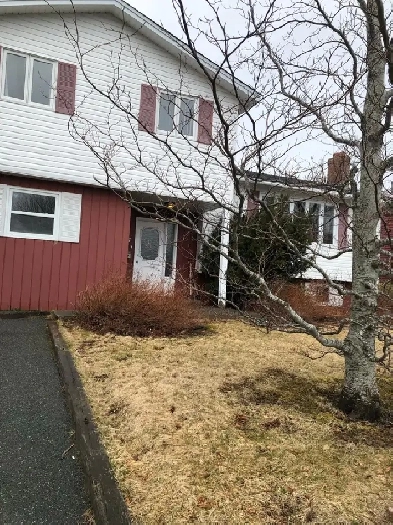 Room for Rent image