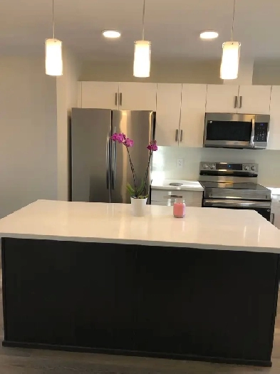 Brand New House For Rent CLOSE To U OF  M image
