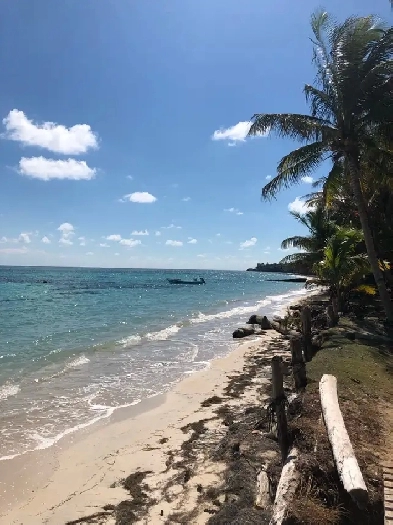 Cleared  Fenced  Acre Lot on Little Corn Island image