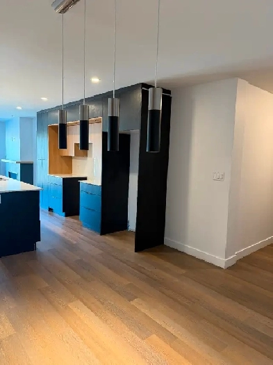 Logement style Penthouse  Pierrefonds image