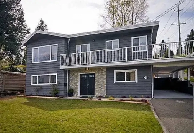 1950  1br  950ft  Bright  Modern 1Bedroom Basement Suite image