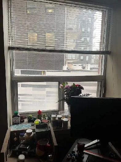 Bedroom for 4 Month Sublet  Waterloo ON image