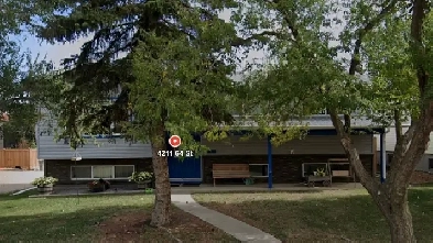 Sharing My Bilevel House with 50  Female Roommate image