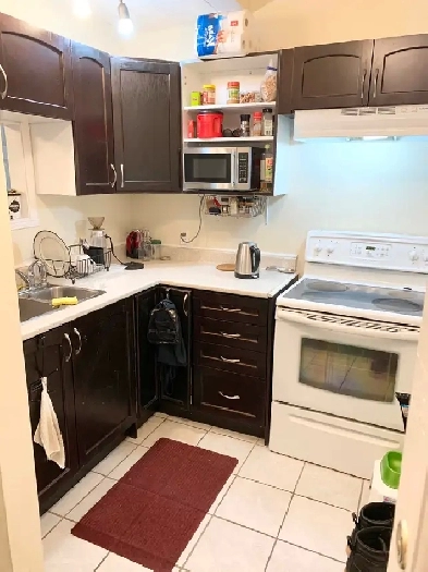 1 Bedroom Apartment Downtown Open Now  Dog  Cat Friendly image