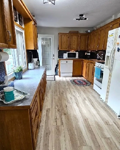 Beautiful Buena Vista Bungalow just a few steps from the Beach image