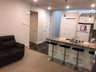 2 bedroom basement suite with Garage in Evergreen For Rent image