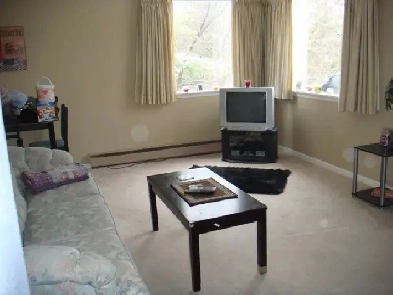 4 bedroom and 2 bath house  walking distance from UNB image