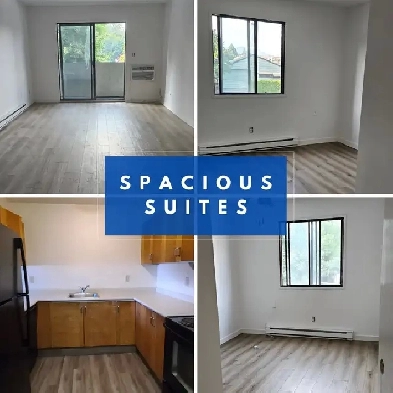 2 Bedroom Available Now image