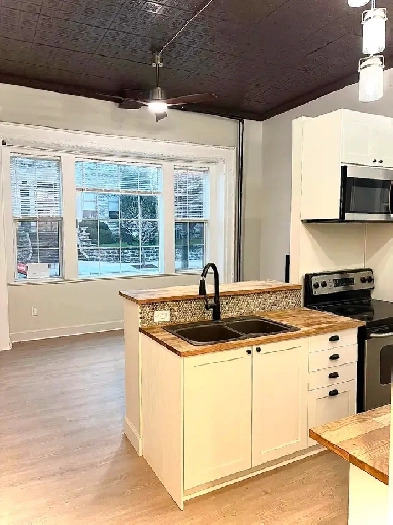 One bedroom plus den main floor apartment image
