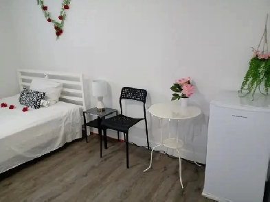 NEWLY RENOVATED FULLY FURNISHED A PRIVATE ROOM FOR RENT image