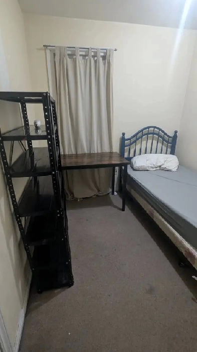 Walk to University of Windsor The room for rent image