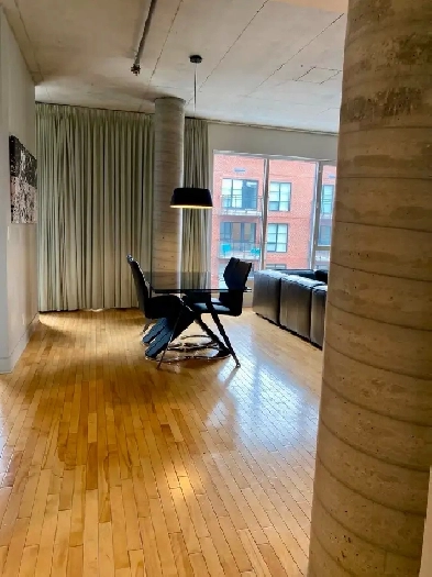 Condoloft de prestige Vieux Montral image