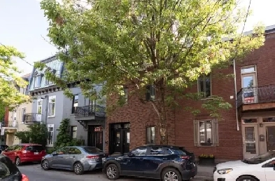 4  Appartement dans un Immeuble Historique  Plateau MontRoyal image