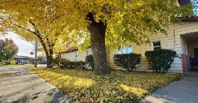 House apt above ground Hamilton Mtn 2 bed200 signing bonus image