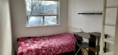 Room for rent starting May 19  female only image