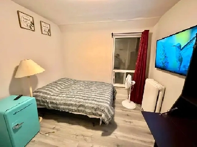 Furnished room male DundasCollege Station TMU asap image