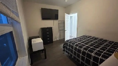 Furnished room female DundasCollege Station TMU asap image
