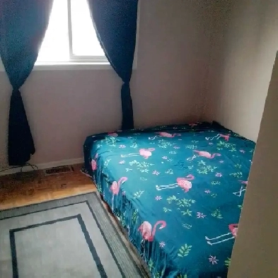 room for rent image