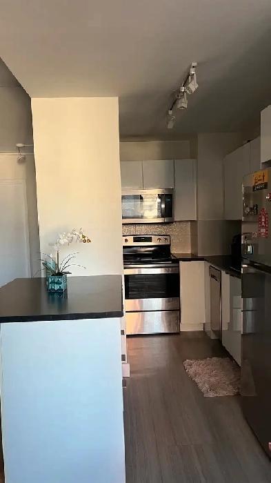 Furnished Rooms for Rent  Spring Garden  All Inclusive image