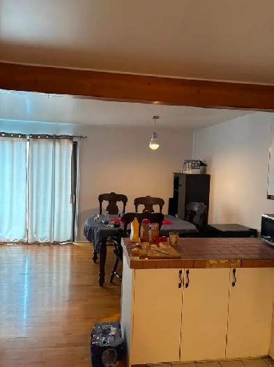 Logement 3 12  louer au centre ville de SaintJrme image