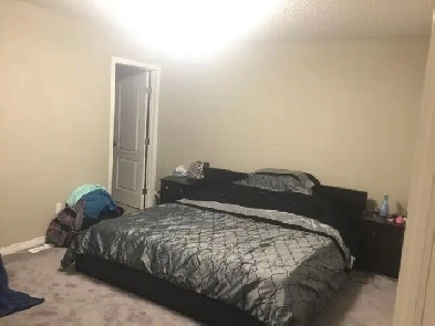 RENT REDUCED Lovely House in Walker Lakes SW of Edmonton image