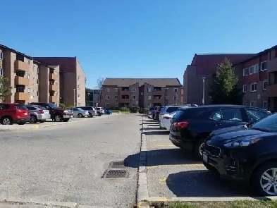2100  Renovated 2bed15 Bath apartment for Rent  Dundas E image