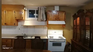 Nice apartment 3 12 in basement  for rent image