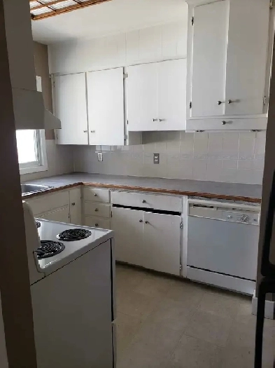 House for Rent in Killarney Glenbrook SW image