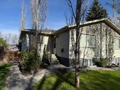 Beautiful renovated 2br Upper 12 duplex Inner city 1895 mo image