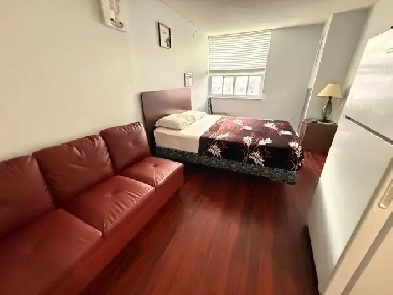 Furnished 2bedroom apartment Centennial College asap image