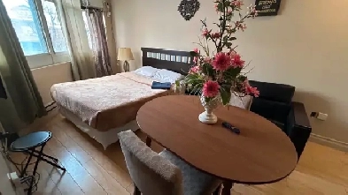 Furnished bachelor studio DundasCollege Station TMU June 1 image