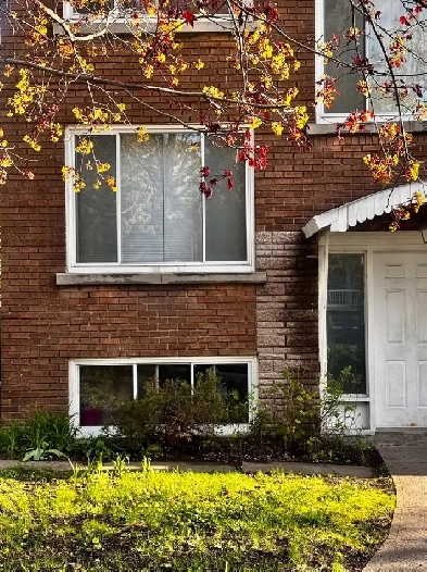 4 12 au soussol dun duplex  louer image