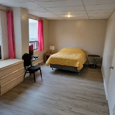 Large Furnished bachelorall utilities includedpet friendly image