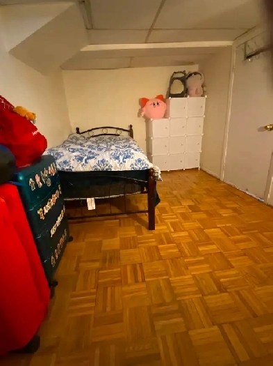 Cozy room in eastyork available from May 24th 850month image
