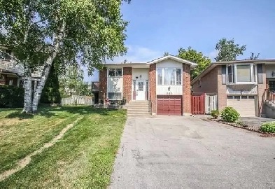 WALKIN BASEMENT FOR RENT image