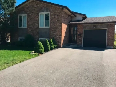 Raised Basement Apartment  Hydro  Utilities Included image