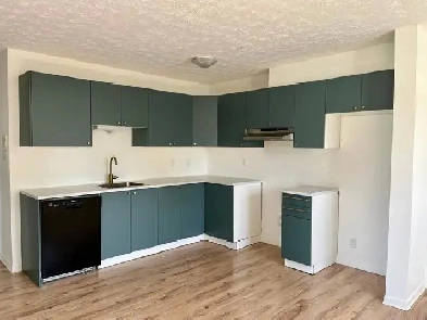 Appartement 4   louer  Disponible ds le 1er juillet image