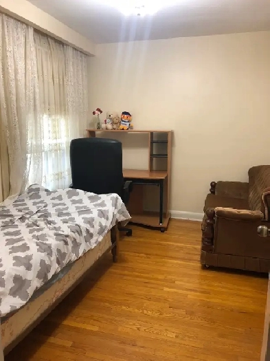 FEMALE ONLY  Cozy Room Available Near Downsview Park image