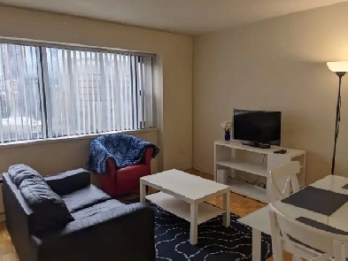Furnished bachelor studio YongeGerrard TMU June 1 image