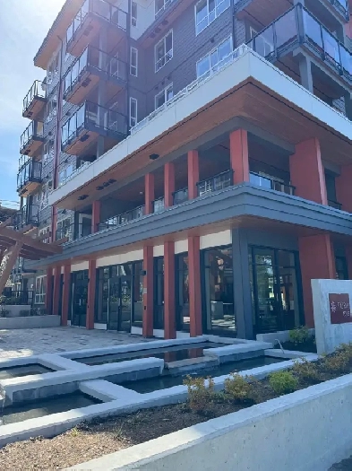 For Rent 1 Bed   Den Condo  Surrey Central image